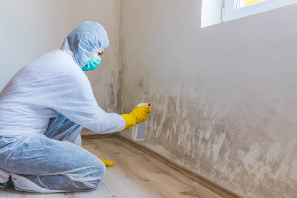 Licensed Mold Testing service in Stafford, TX - WQB Mold Removal