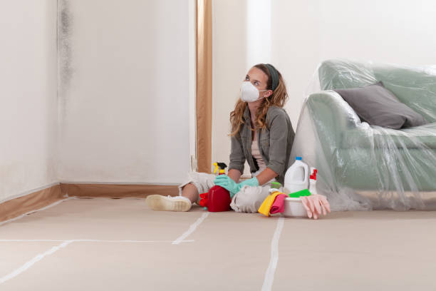 Reliable Mold Testing contractor in Stafford, TX by WQB Mold Removal